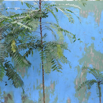 Tropical Garden