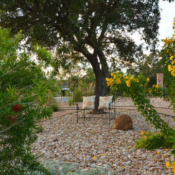 Austin Xeriscape