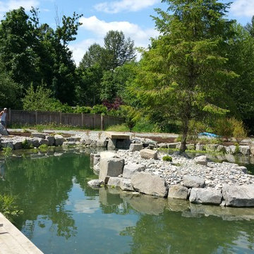 Swim Pond