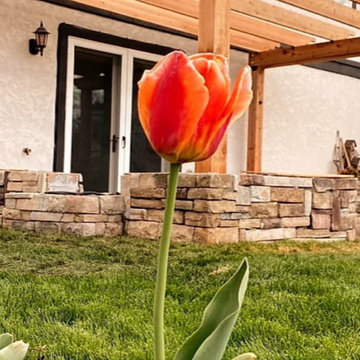 Backyard living space