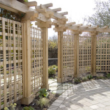 trellis