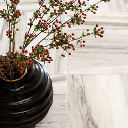 Skyline Polished Collection - Wall And Floor Tile