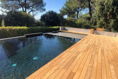 Exemple d'un grand piscine avec aménagement paysager arrière tendance rectangle avec une terrasse en bois.