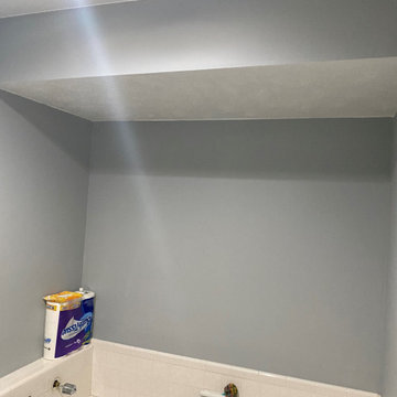 Bathroom Update
