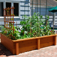 Vegetable Garden