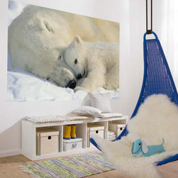 National Geographic Murals - Wall Decals