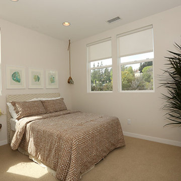Warmington Residential: NELA Union - Plan 4 Guest Bedroom