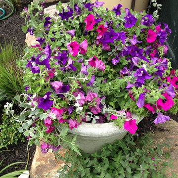 Seasonal Container Plantings & Changeovers