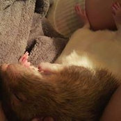 Foto von Susan Dismore