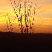 Colette Anderson's photo