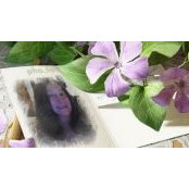 Kay Delaney's photo
