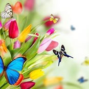 Joyce Hardy's photo