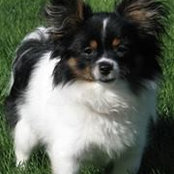 Carrie Clifton Mulcahy's photo