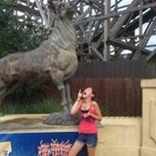 Amy Rocheford Rossi's photo