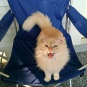 Tammy Roark's photo