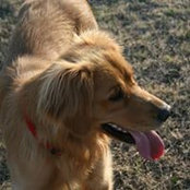 Trisha Hutcherson's photo