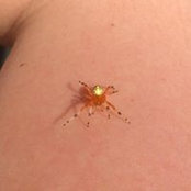 Foto von Angie Cayton