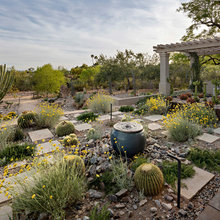 Healdsburg Home Landscape Ideas