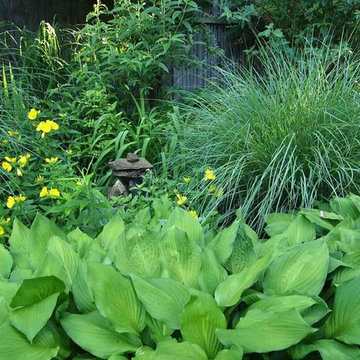 Shade Gardens