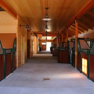 Foto på en mycket stor vintage hall, med bruna väggar och betonggolv