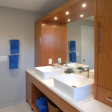 Modern Minneapolis Bathroom