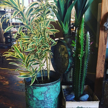 EarthMade Greenery