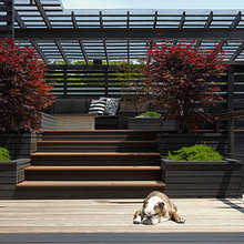 Garden  Ideas