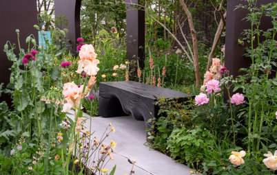 Wild Flowers: 7 Top Trends from 2022’s RHS Chelsea Flower Show