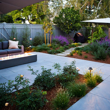San Jose Modern
