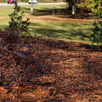 Augusta Regional Airport Landscape Renovation
