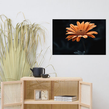 Floral Wall Art Prints: Amber Embrace Realism Painting Orange Color