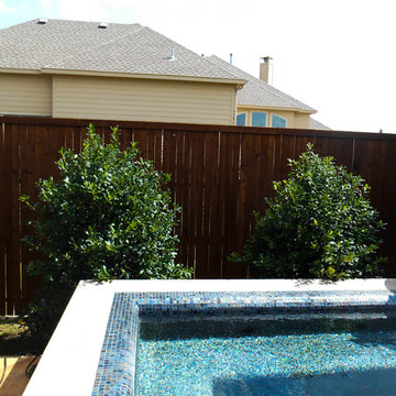 Vitex Tree and Nellie R. Steven Shrubs in Backyard