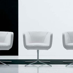 DSL Dining chairs - Dining Chairs