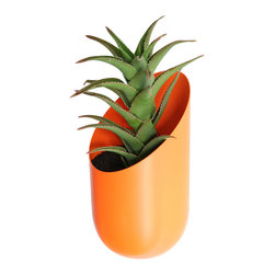 Modern Planters - Plants