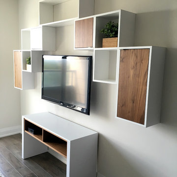 Modular entertainment unit