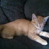 Susan Longcore's photo