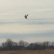 Craig Vrba's photo