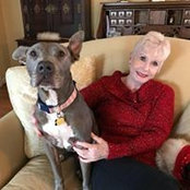 Sandra Gardner's photo