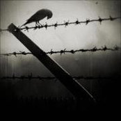 Duy Khang's photo