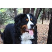 Monique Barbeau's photo