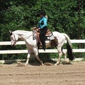 Patty Sterling-Chilson's photo