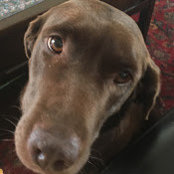 Nina Forbess's photo