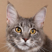Cathy Shea's photo