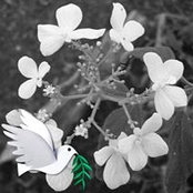 Natasha Hunt's photo