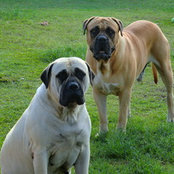 mattcochrane's photo