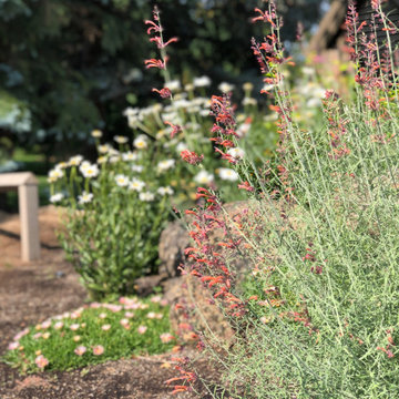 One-on-One Landscape Coaching for Do-It-Yourself Homeowners