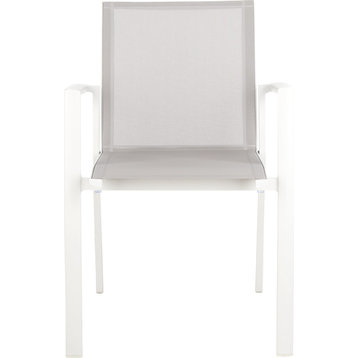 Negan Chair (Set of 2) - Gray