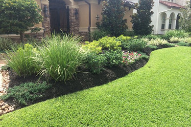 Great lawns, Busting blooms that pop!