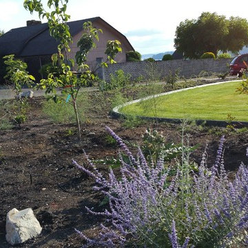 Edible Front Yard