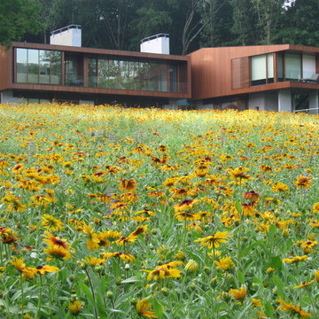 Connecticut Landscaping Ideas